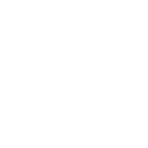 abonnés tiktok